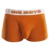 Big Boys Boxer Briefs - Orange -Bown Of London shop big boys boxer briefs orange 31012244