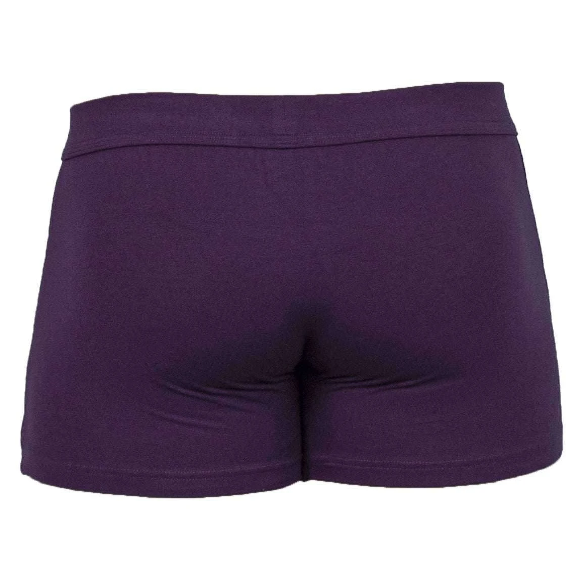 Obviously EliteMan Boxer Brief 3inch Leg - Purple 4 Obviously EliteMan Boxer Brief 3inch Leg - Purple - Image 2