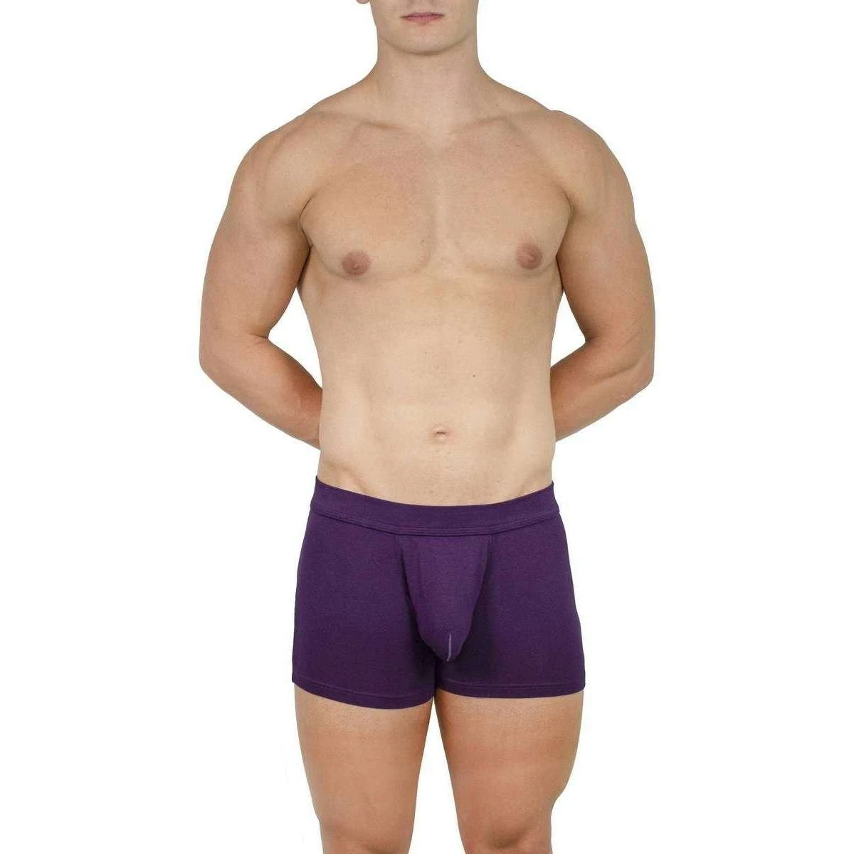 Obviously EliteMan Boxer Brief 3inch Leg - Purple 6 Obviously EliteMan Boxer Brief 3inch Leg - Purple - Image 4