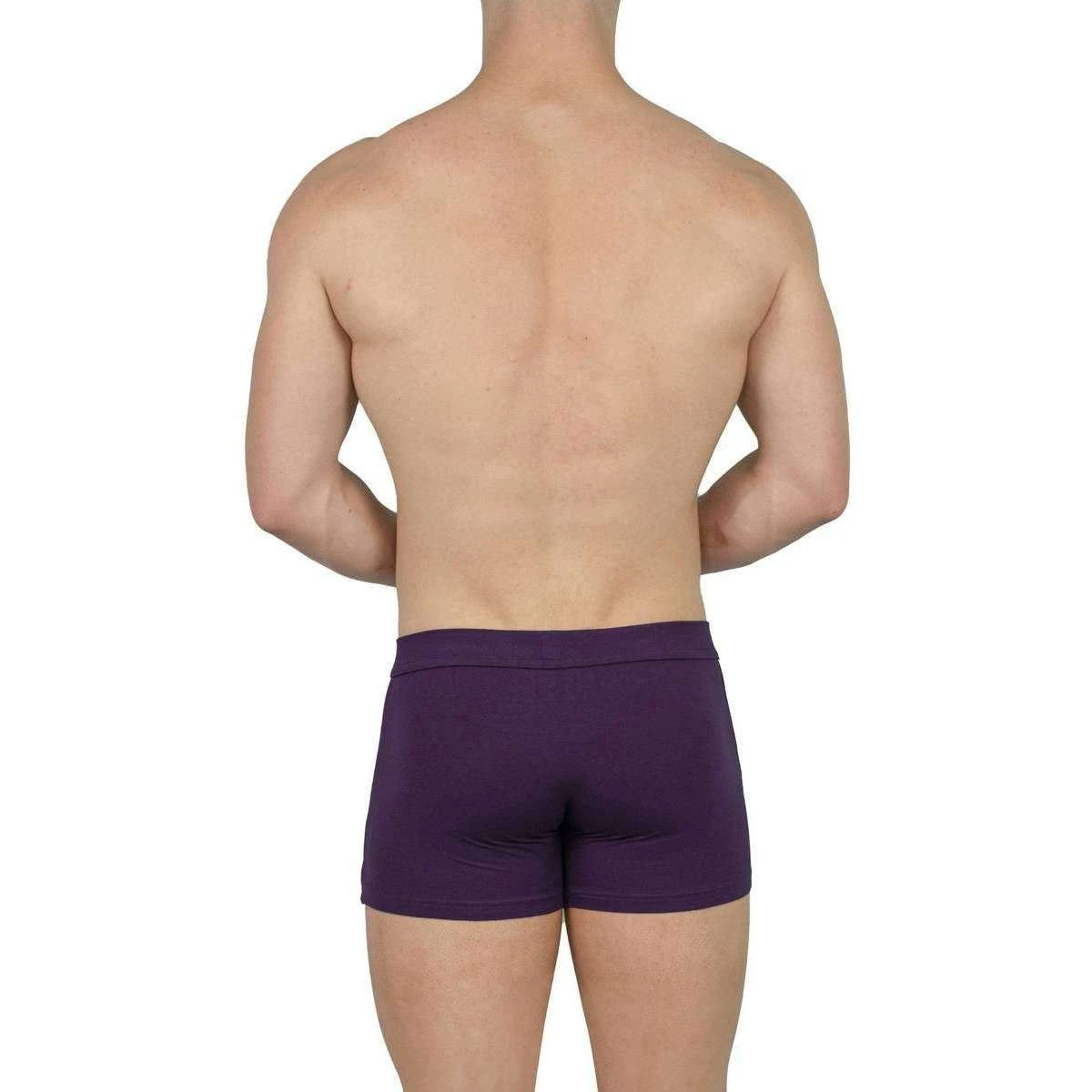 Obviously EliteMan Boxer Brief 3inch Leg - Purple 7 Obviously EliteMan Boxer Brief 3inch Leg - Purple - Image 5
