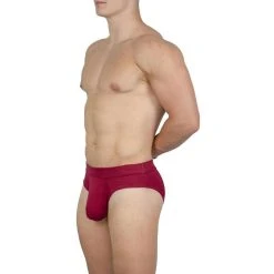 Obviously EliteMan Brief - Maroon Red 13 Obviously EliteMan Brief - Maroon Red -Bown Of London shop obviously eliteman brief maroon red 31957973