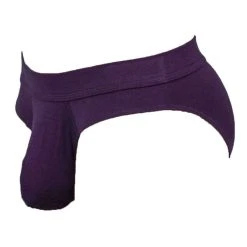 Obviously EliteMan Hipster Brief - Purple -Bown Of London shop obviously eliteman hipster brief purple 31958035