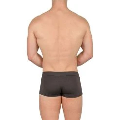 Obviously EliteMan Trunk - Titanium Grey -Bown Of London shop obviously eliteman trunk titanium grey 31763135