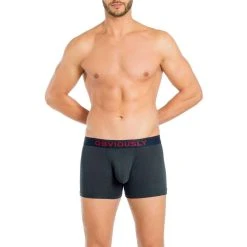 Obviously FreeMan AnatoFREE Boxer Brief 3inch Leg - Ash Grey -Bown Of London shop obviously freeman anatofree boxer brief 3inch leg ash grey 31036413