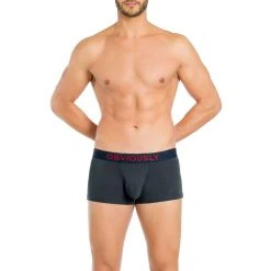 Obviously FreeMan AnatoFREE Trunk - Ash Grey -Bown Of London shop obviously freeman anatofree trunk ash grey 31036509